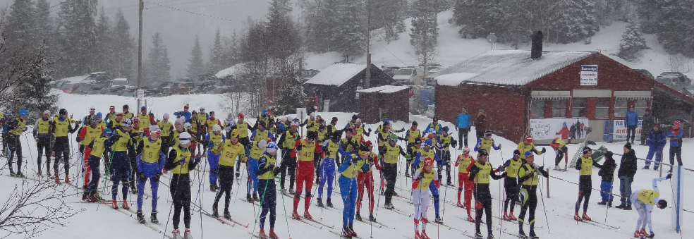 Klubbmesterskap i fristil
